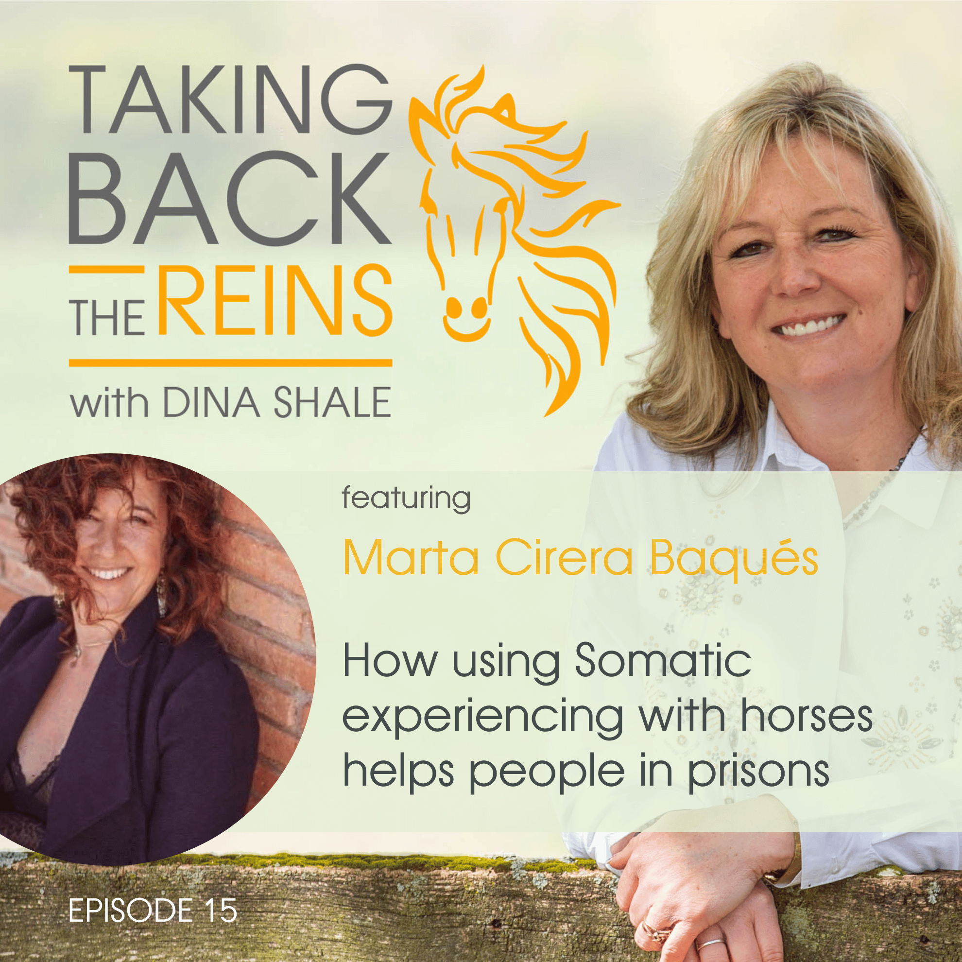 015 How using Somatic experiencing with horses helps people in prisons episode artwork