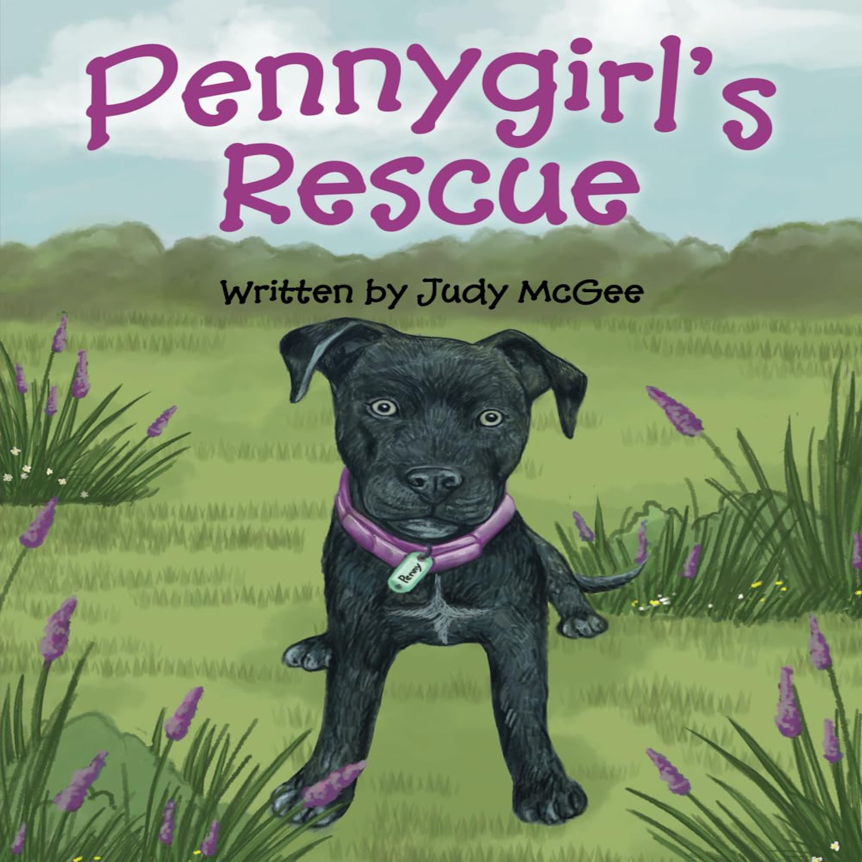 Adventures in the Heart of Children\'s Book Authors Podcast