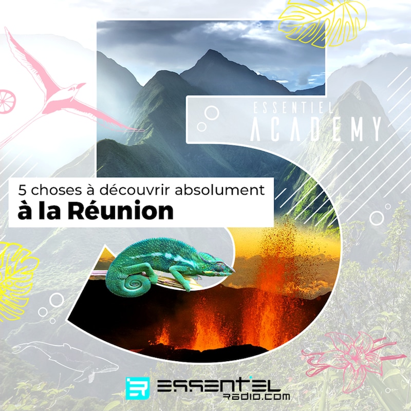 Artwork for podcast ESSENTIEL academy