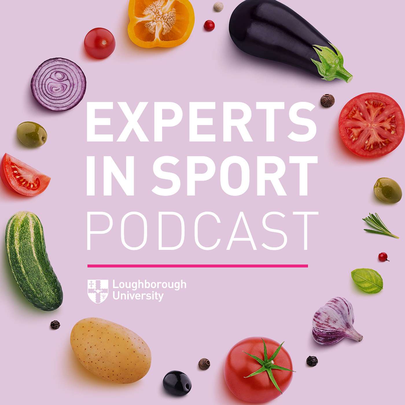 Experts in Sport