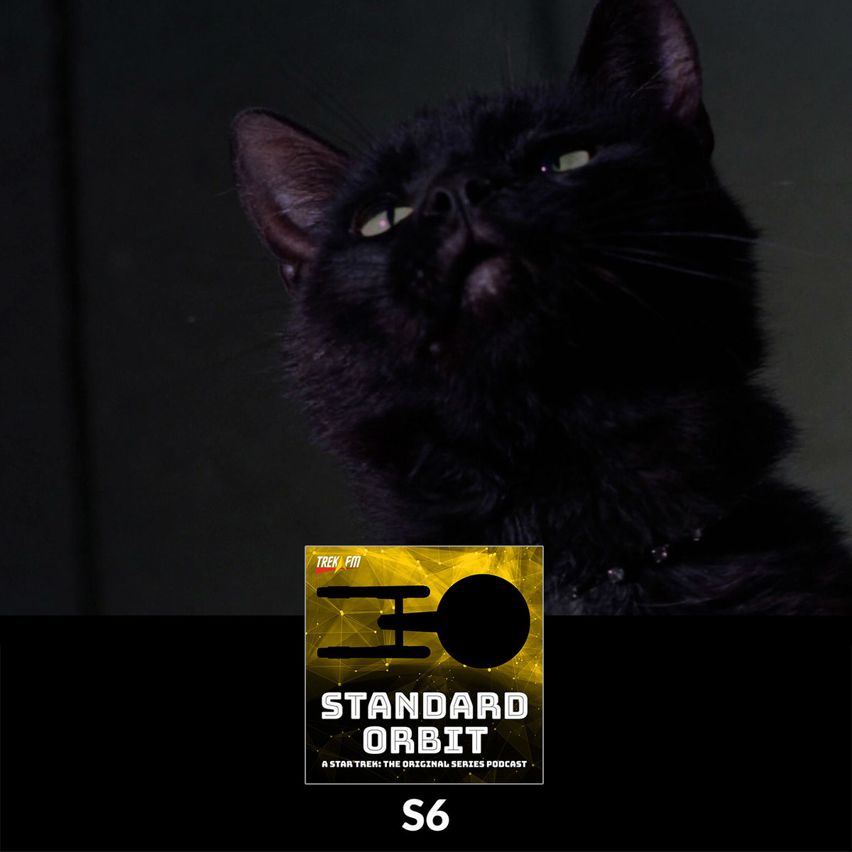 S6: We're Talking to the Shadow of a Cat episode artwork