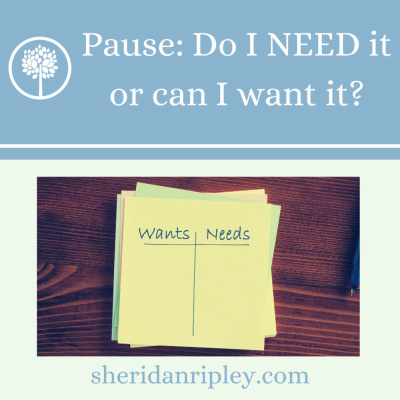 #11 Pause: Do You Want or Do You Need This? episode artwork
