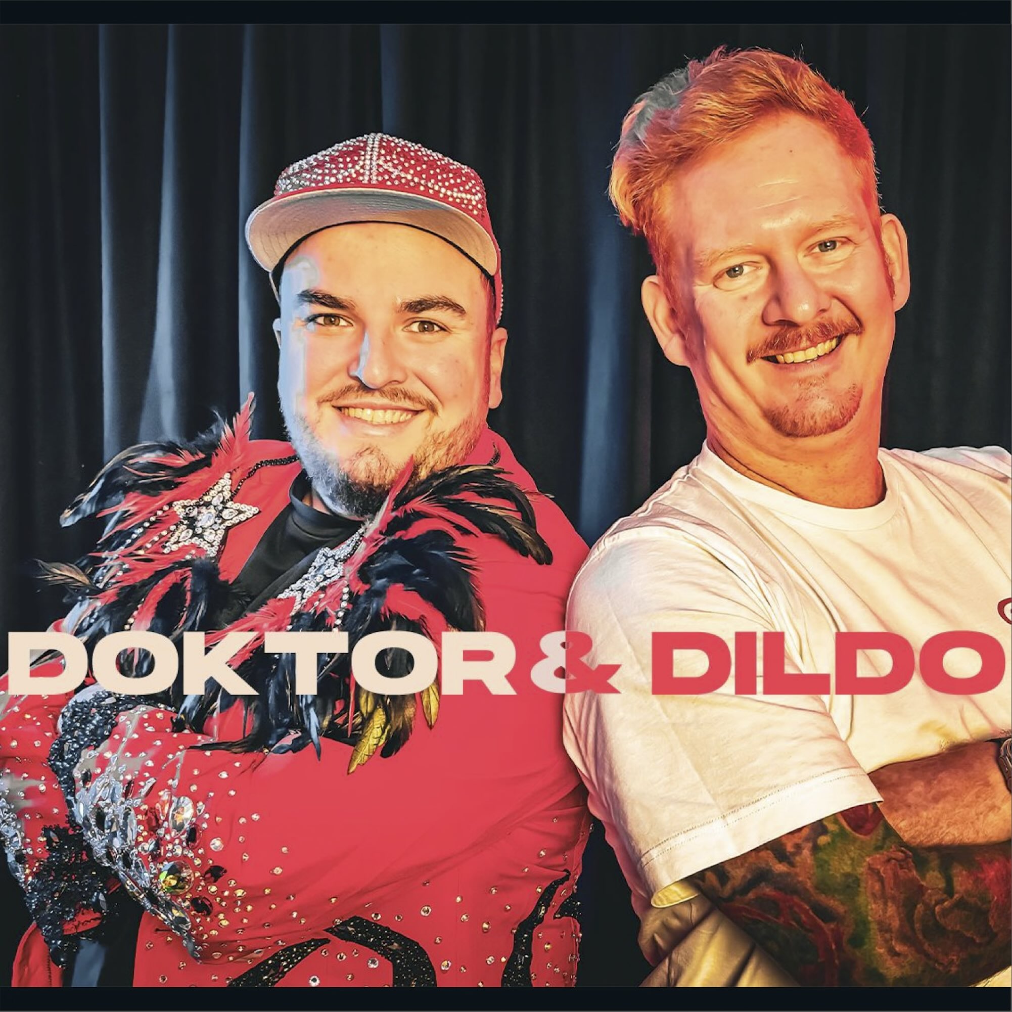 Show artwork for Doktor & Dildo