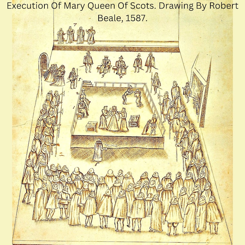 Artwork for podcast The Rise of the Protestants
