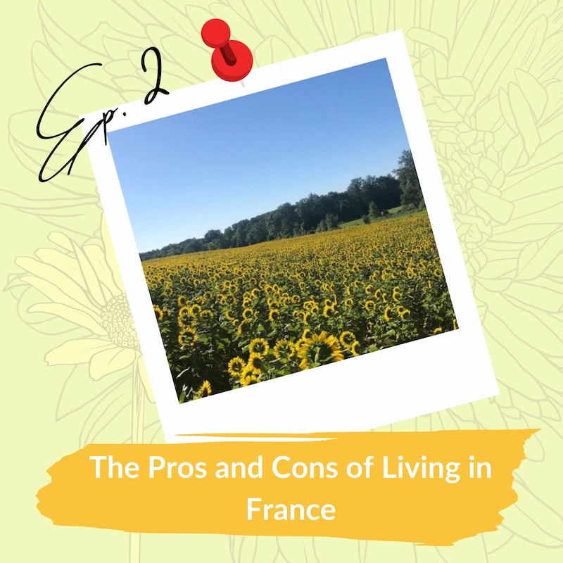 Artwork for podcast Life in Rural France