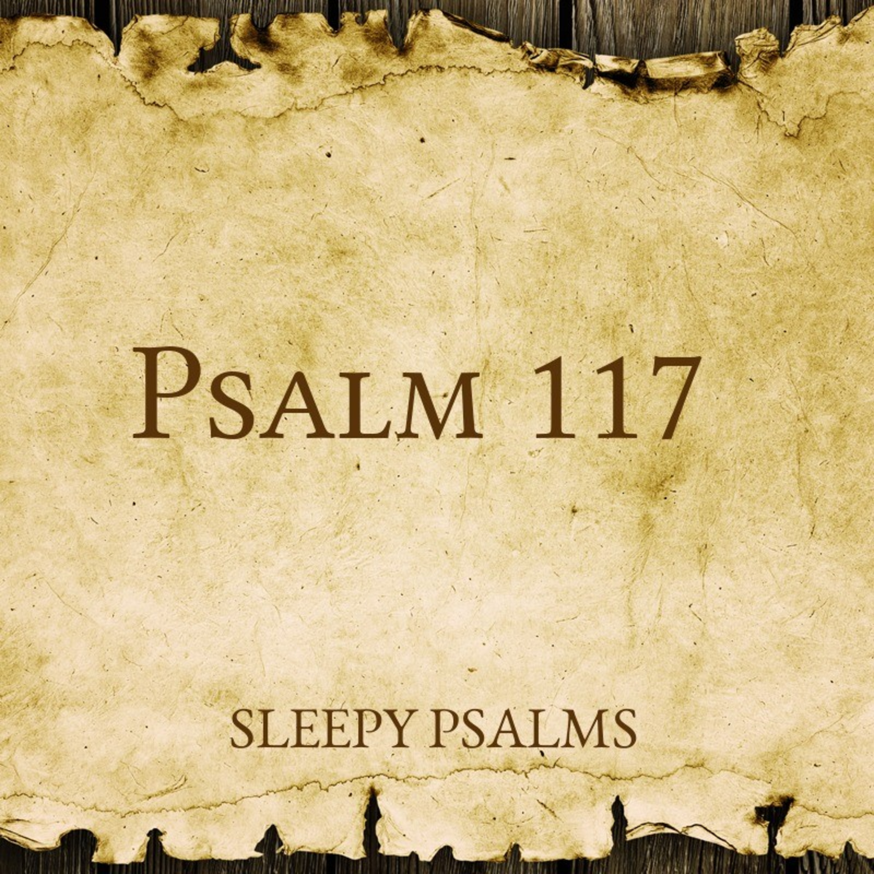 A Daily Psalm - #117