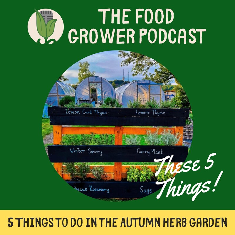 Artwork for podcast The Food Grower Podcast