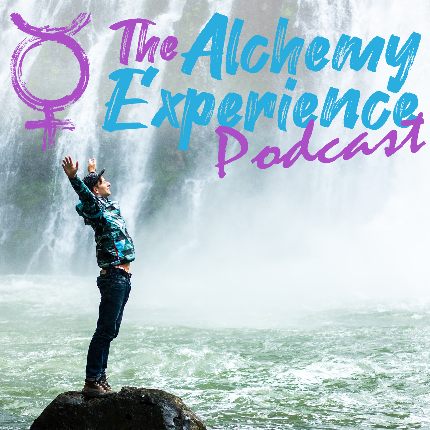 Artwork for The Alchemy Experience