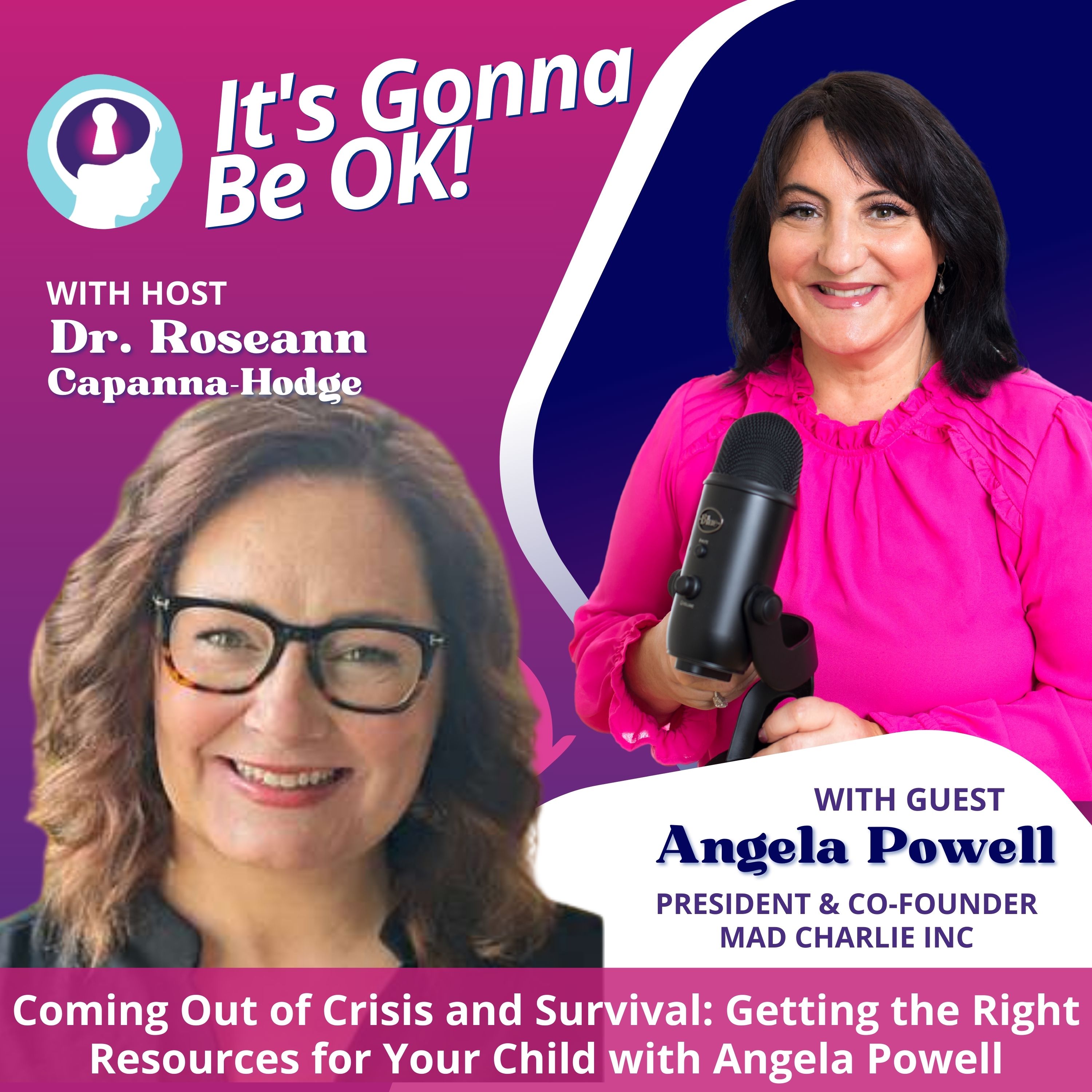 Science Backed Solutions for Children’s ADHD, Executive Functioning and Anxiety Dysregulation