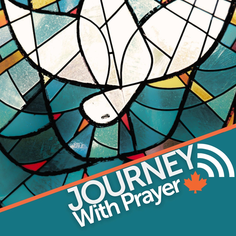 Artwork for podcast Journey With Care