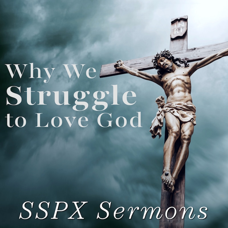 Artwork for podcast SSPX Sermons