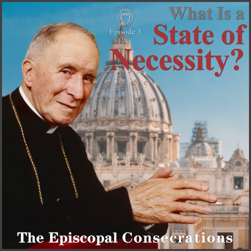 Artwork for podcast SSPX Podcast