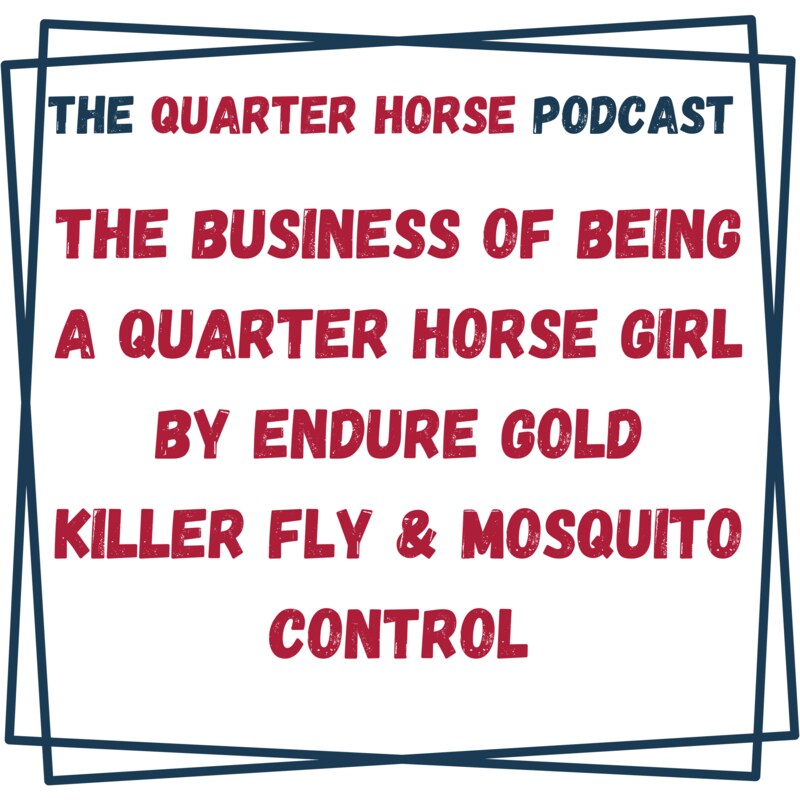 Artwork for podcast The Quarter Horse Podcast