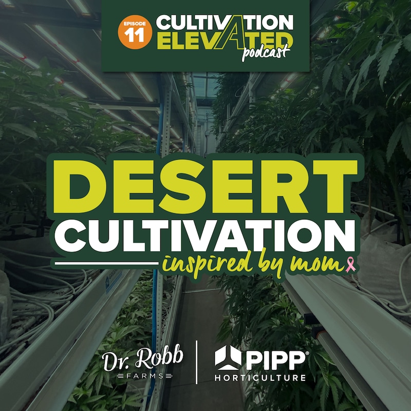 Artwork for podcast Cultivation Elevated - Indoor Farming, Cannabis Growers & Cultivators - Pipp Horticulture