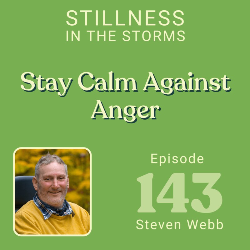 Artwork for podcast Stillness in the Storms