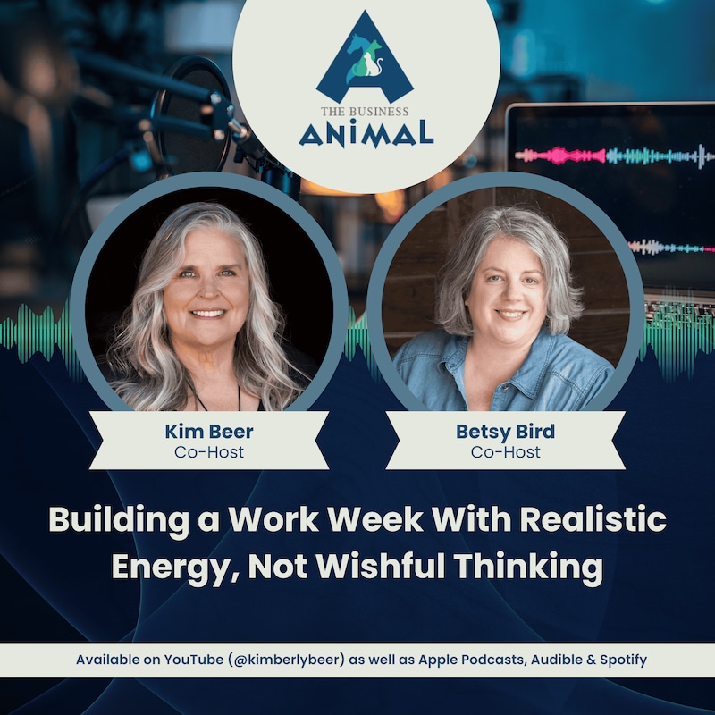 Artwork for podcast The Business Animal