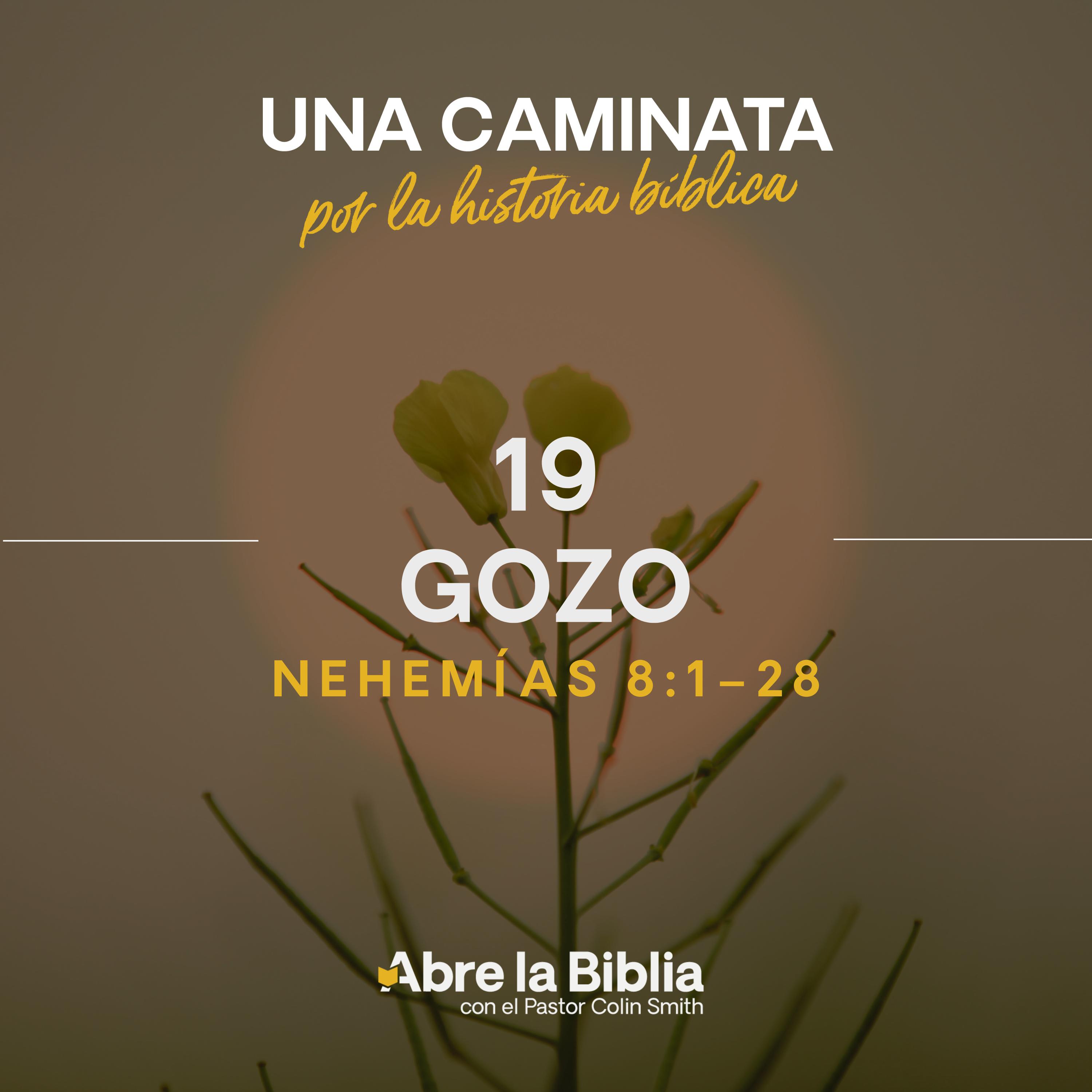 19: Gozo (Nehemías 8:1-18) episode artwork