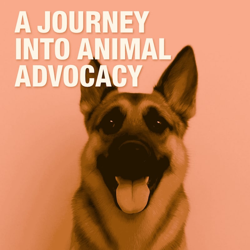Artwork for podcast Animal Posse