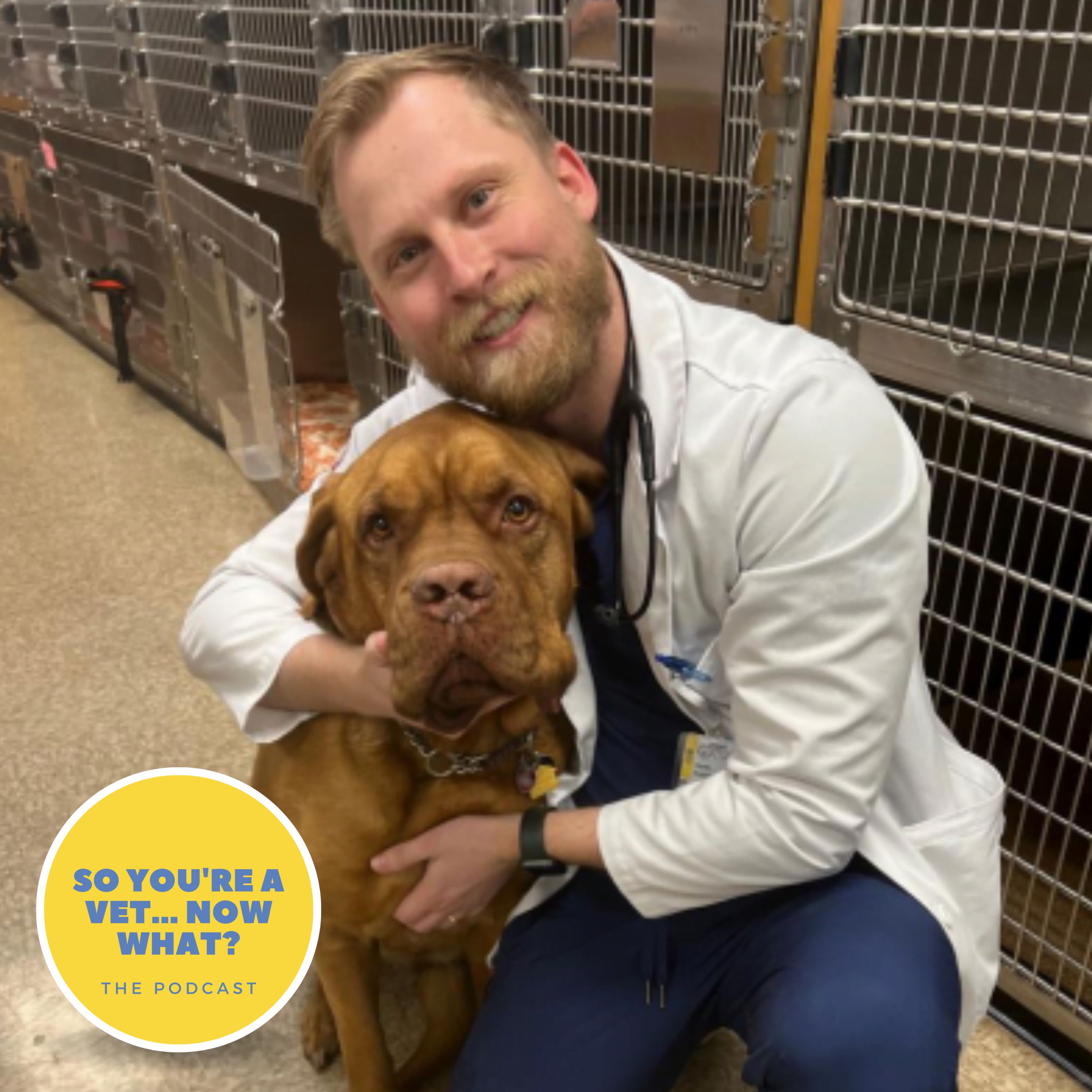 The \'So You\'re A Vet... Now What?\' Podcast