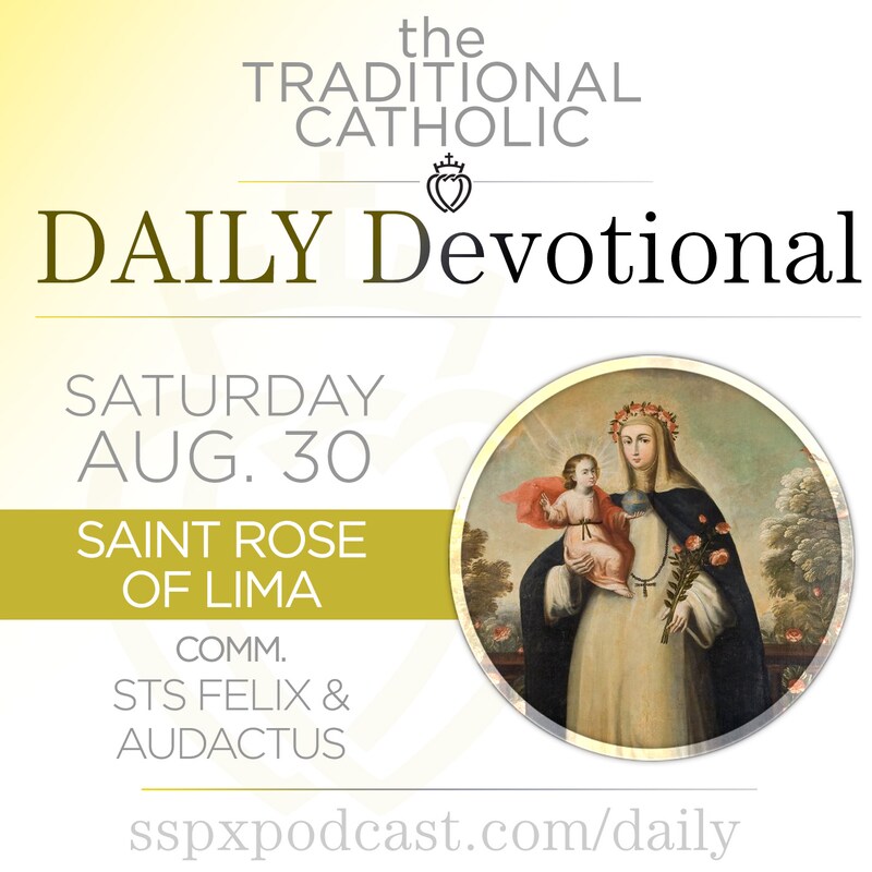 Artwork for podcast Traditional Catholic Daily Devotional