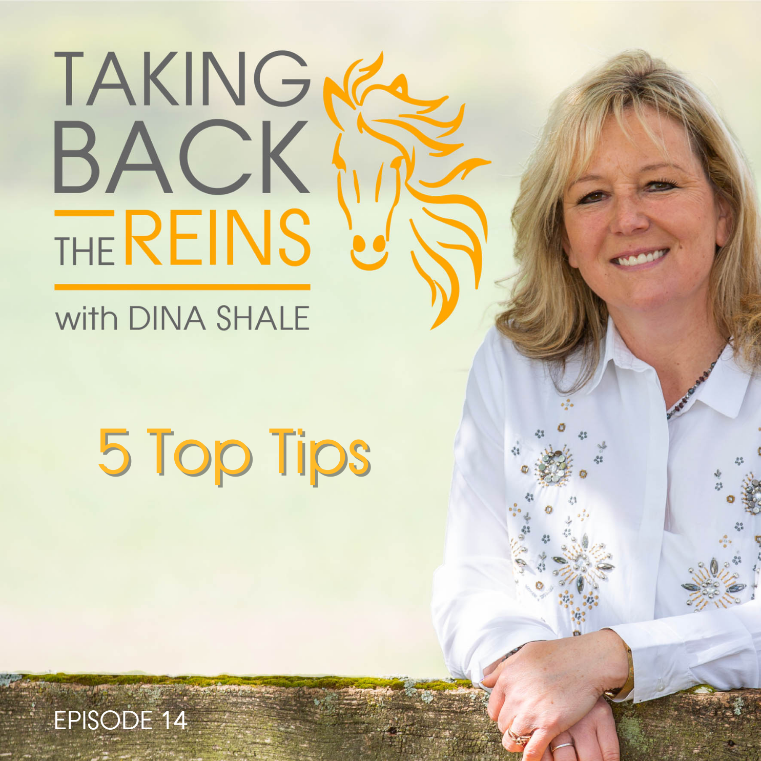 014 My 5 top tips episode artwork