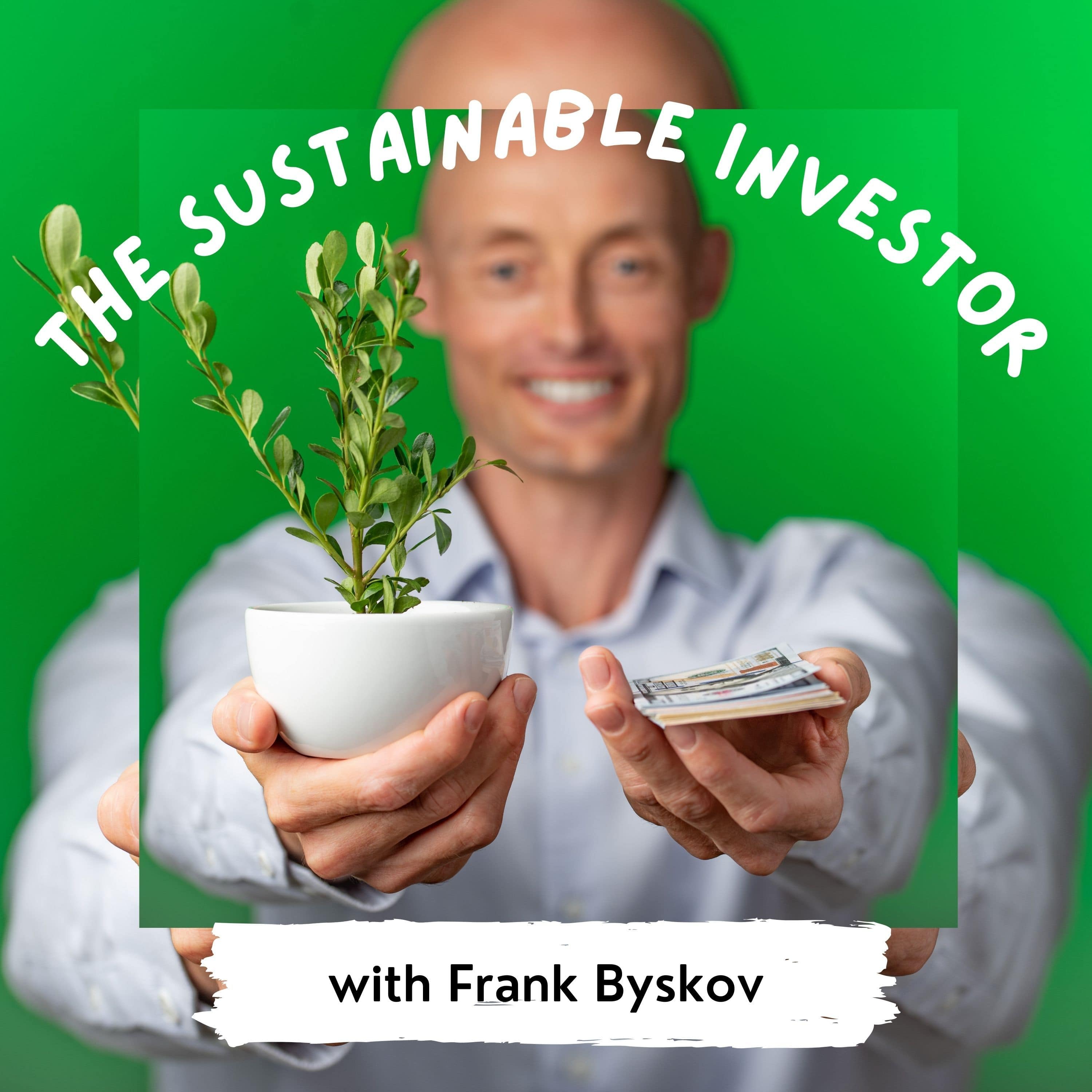 Artwork for podcast The Sustainable Investor Podcast