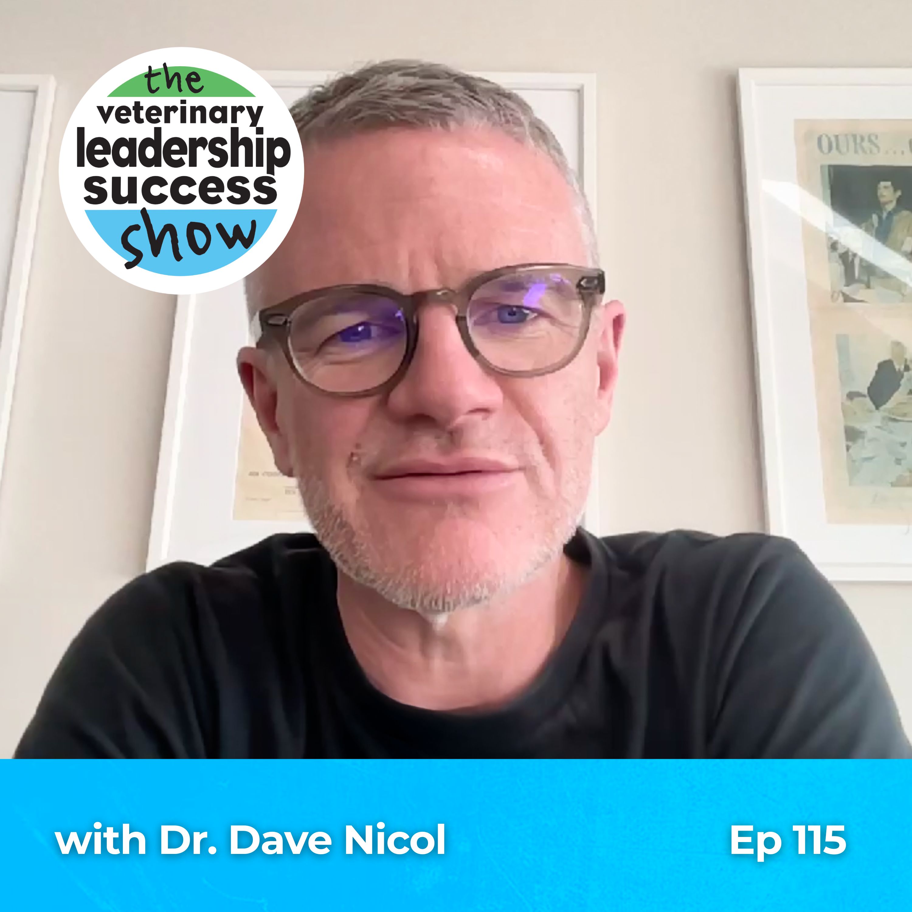 The Veterinary Leadership Success Show