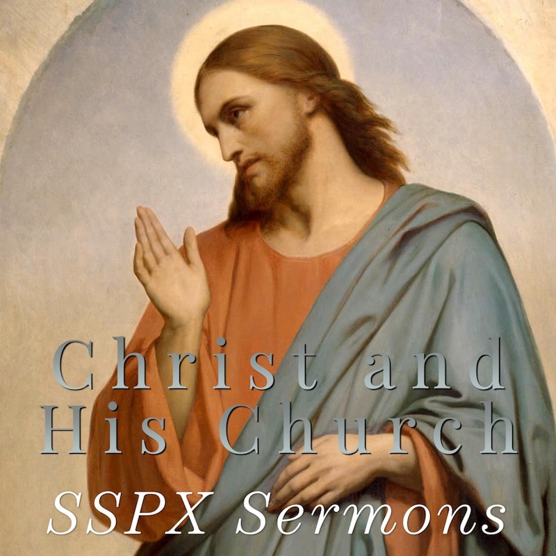 Artwork for podcast SSPX Sermons