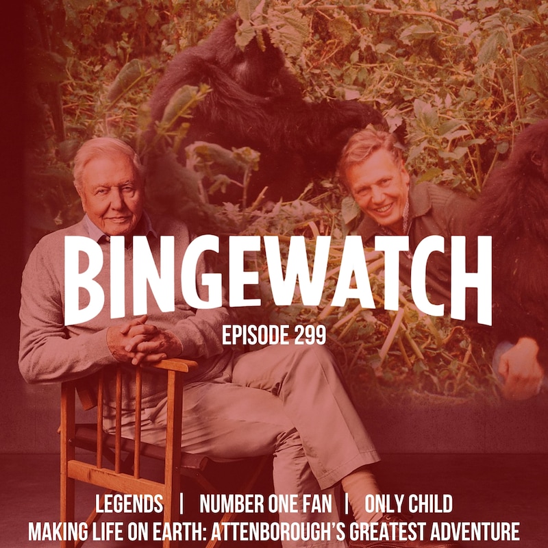 Artwork for podcast Bingewatch