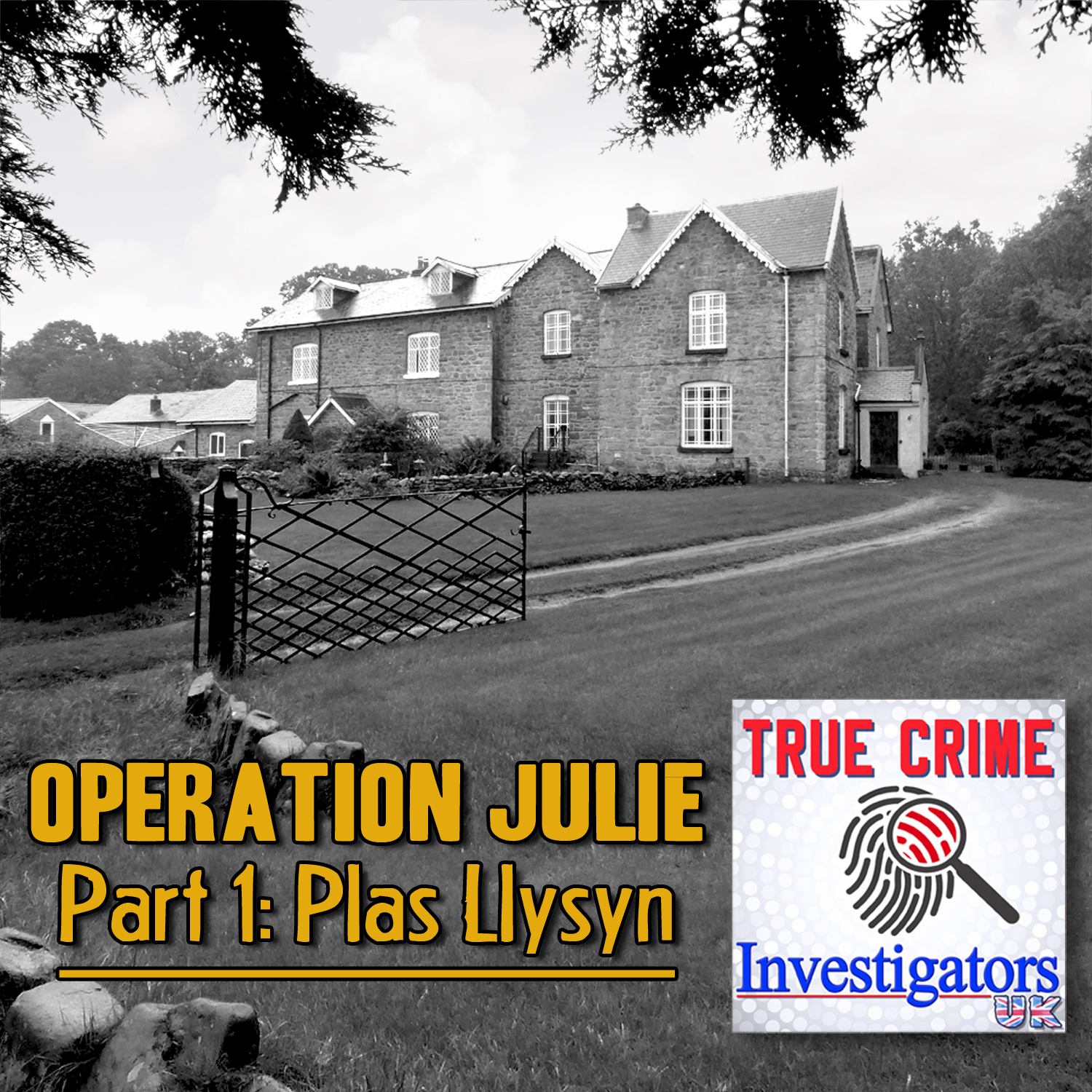 Artwork for podcast True Crime Investigators UK