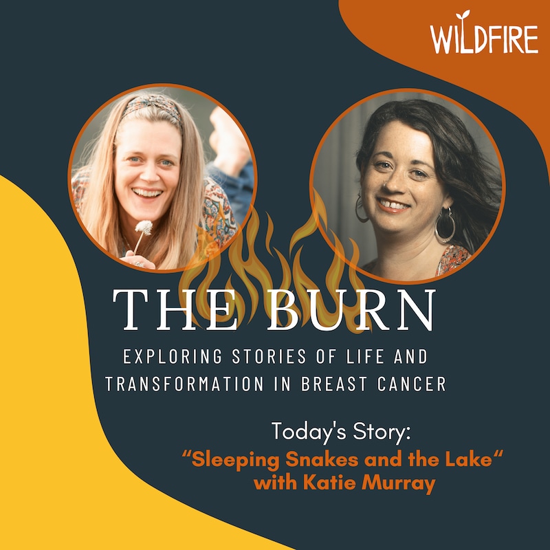 Artwork for podcast The Burn