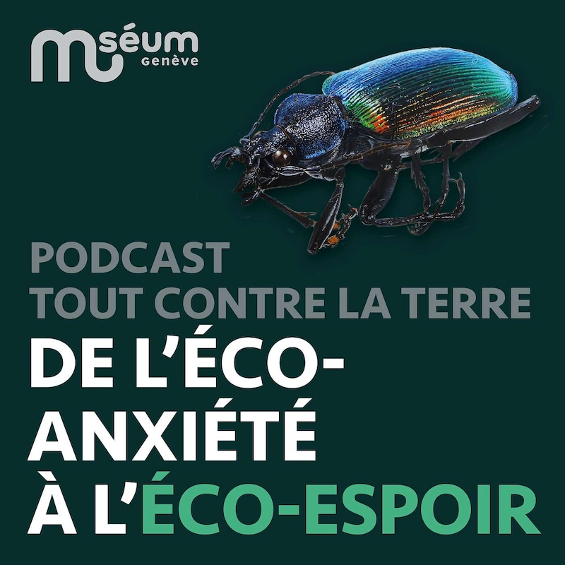 Artwork for podcast Tout contre la Terre, le podcast