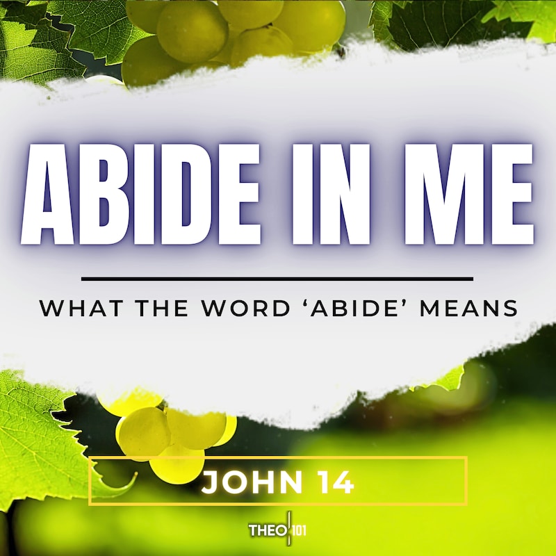 Artwork for podcast John Explained: A Bible Study