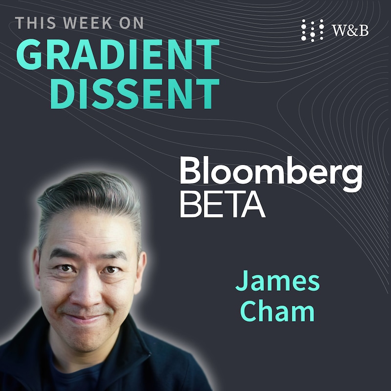 Artwork for podcast Gradient Dissent: Conversations on AI