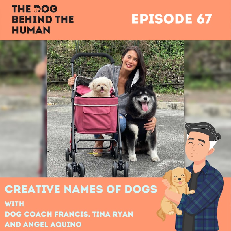 Artwork for podcast The Dog Behind The Human