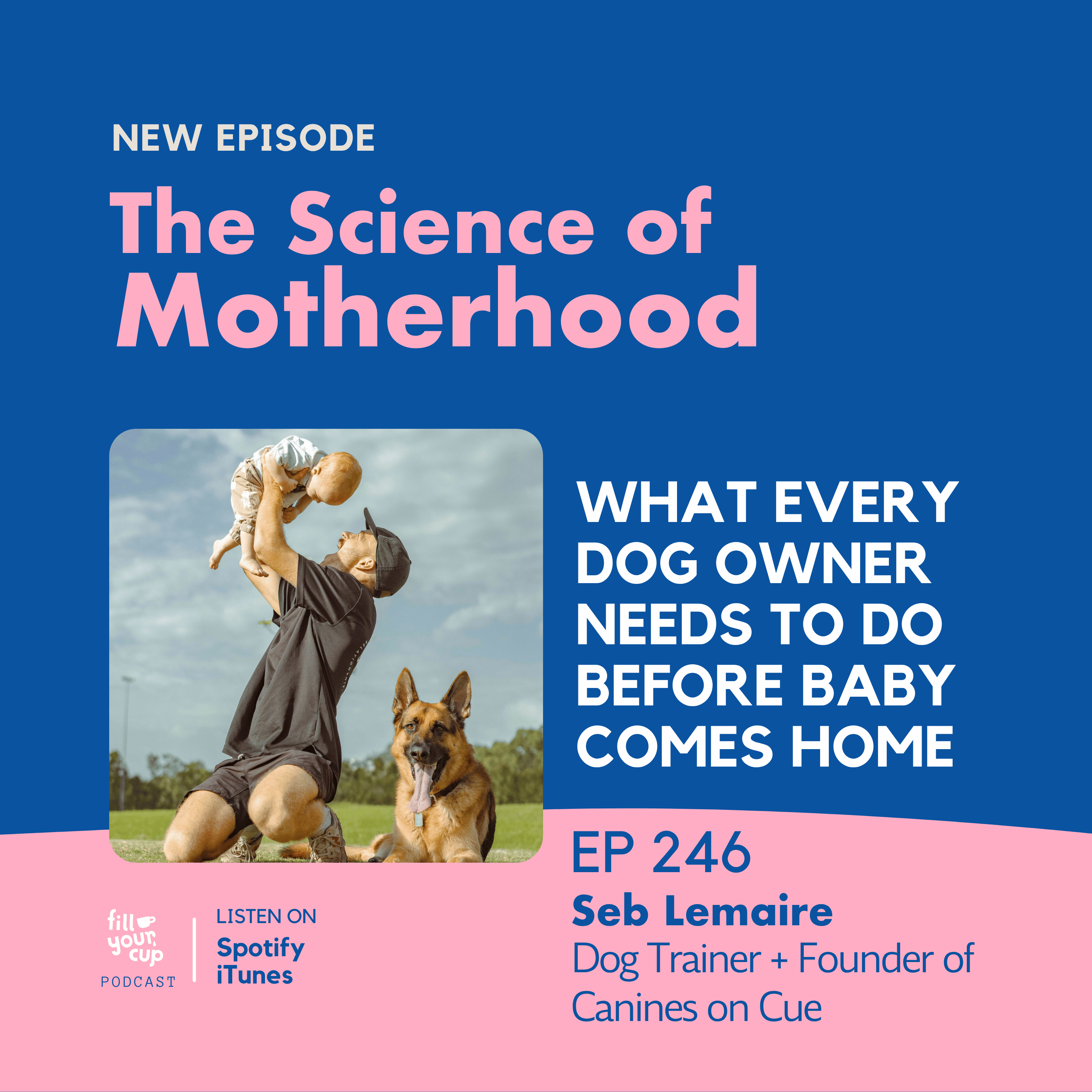 Ep 246. What Every Dog Owner Needs to Do Before Baby Comes Home episode artwork