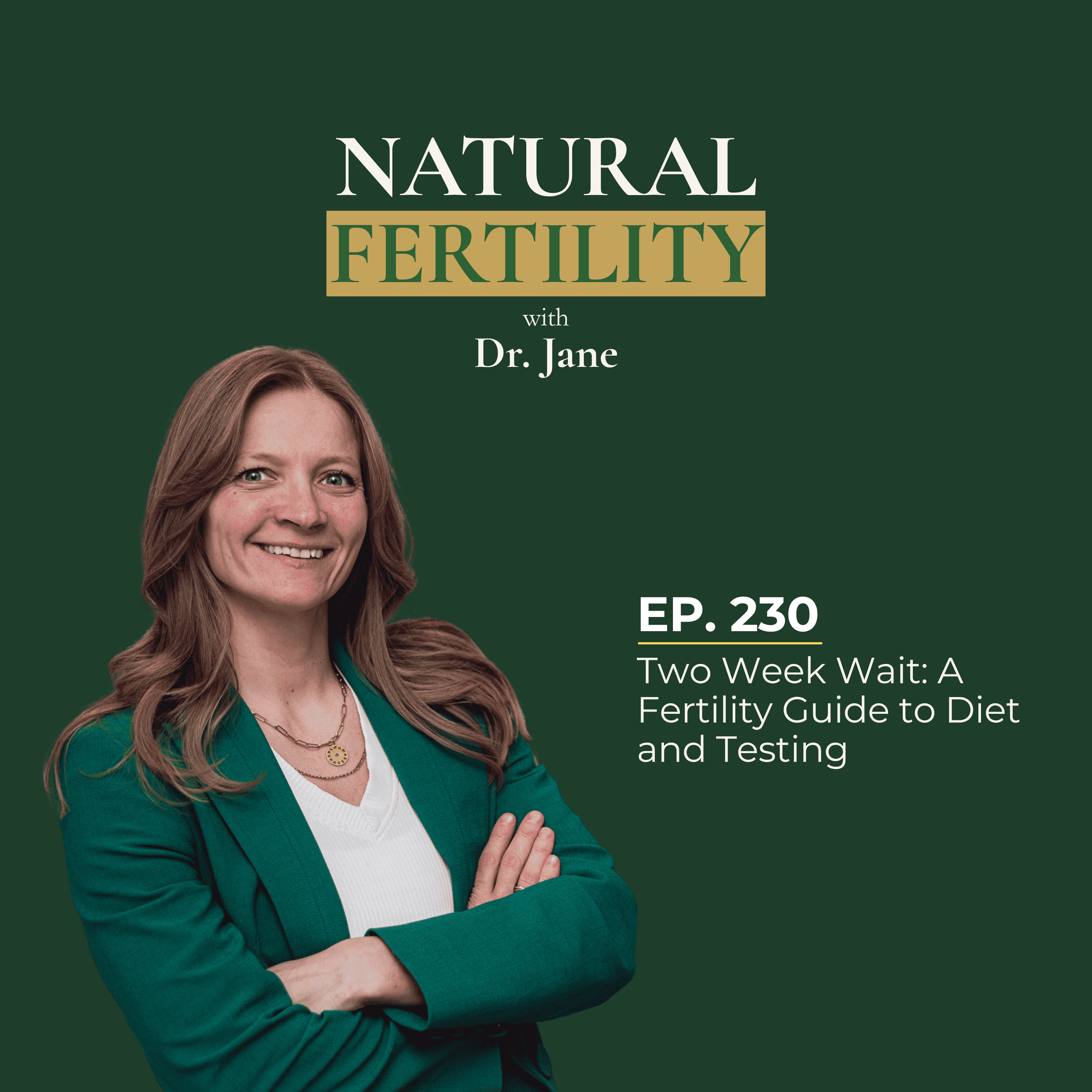 Ep.230: Two Week Wait: A Fertility Guide to Diet and Testing episode artwork