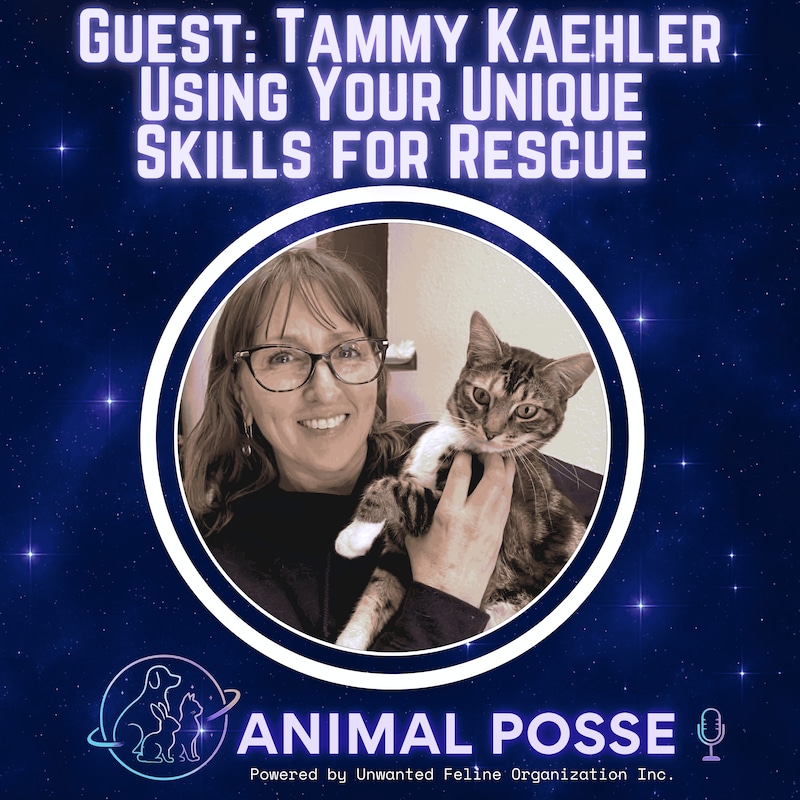 Artwork for podcast Animal Posse