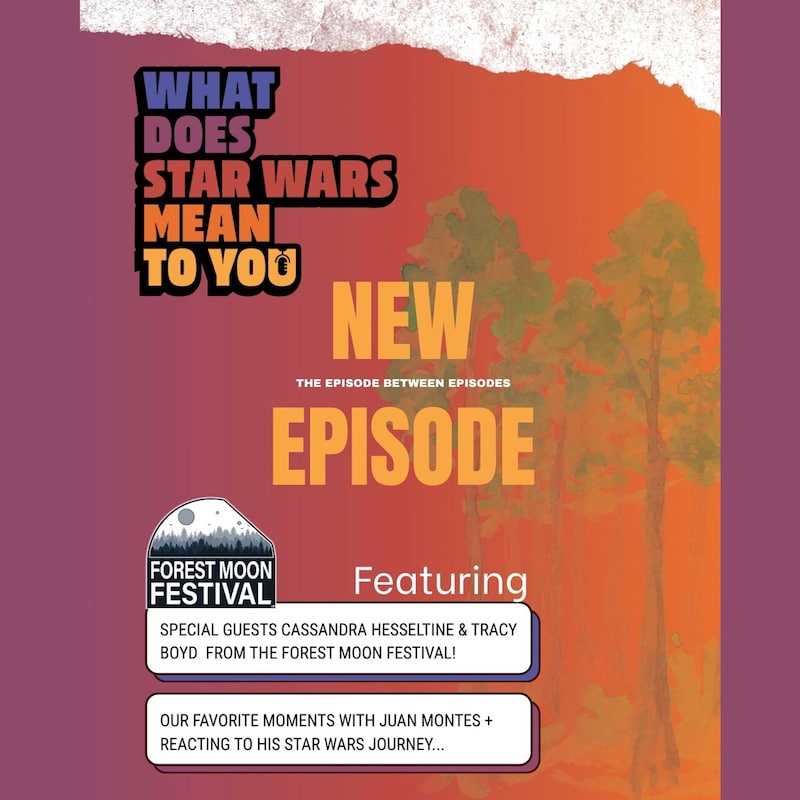 Artwork for podcast What Does Star Wars Mean To You?