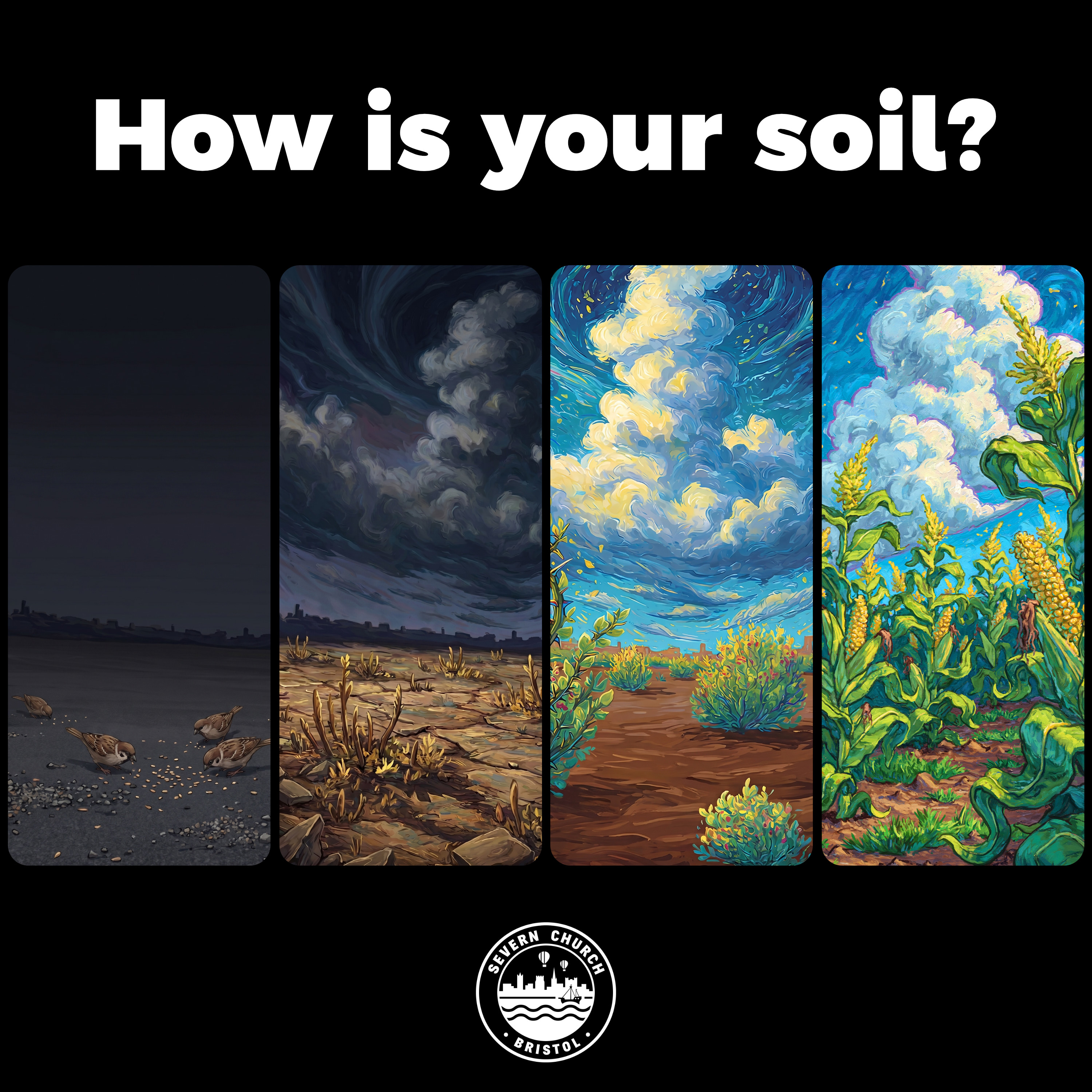 Talk: How is your soil? - Kyle Henderson-Begg episode artwork