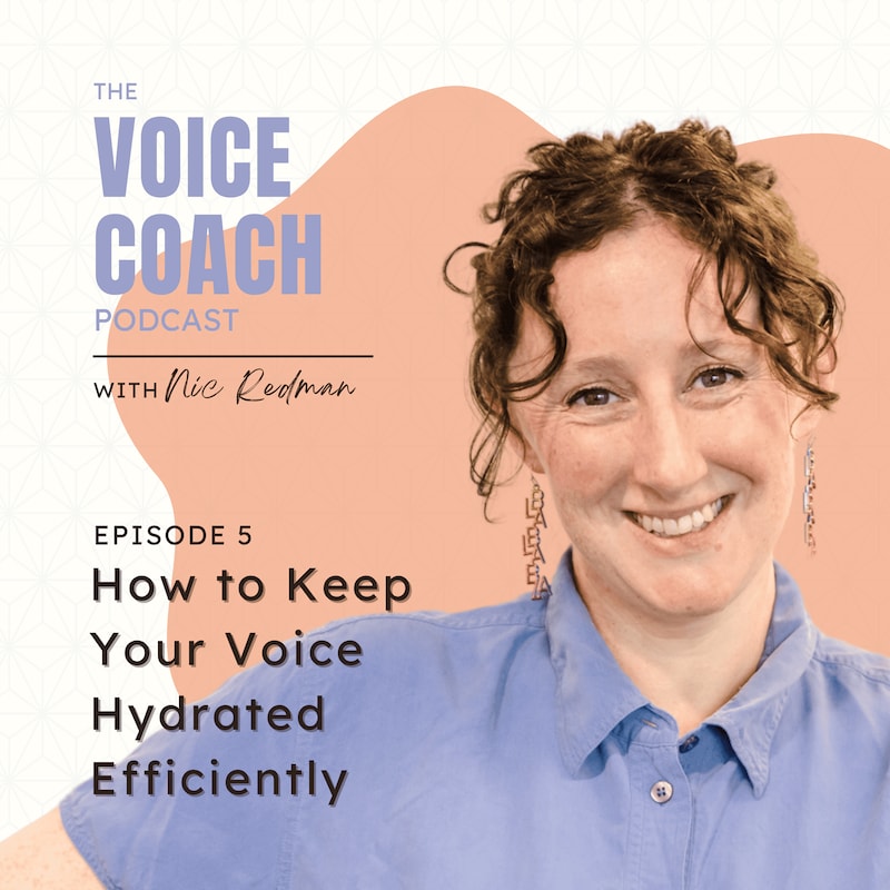 Artwork for podcast The Voice Coach Podcast