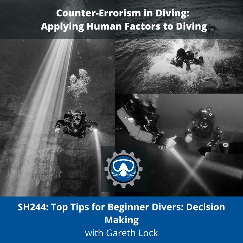 Artwork for podcast Counter-Errorism in Diving: Applying Human Factors to Diving
