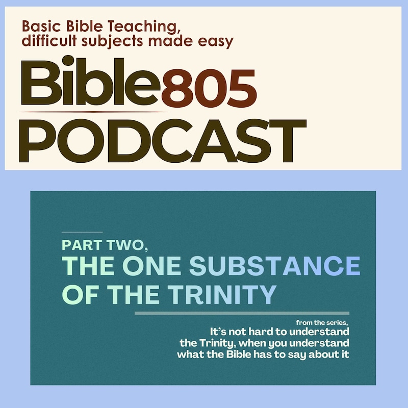Artwork for podcast Bible805 Podcast