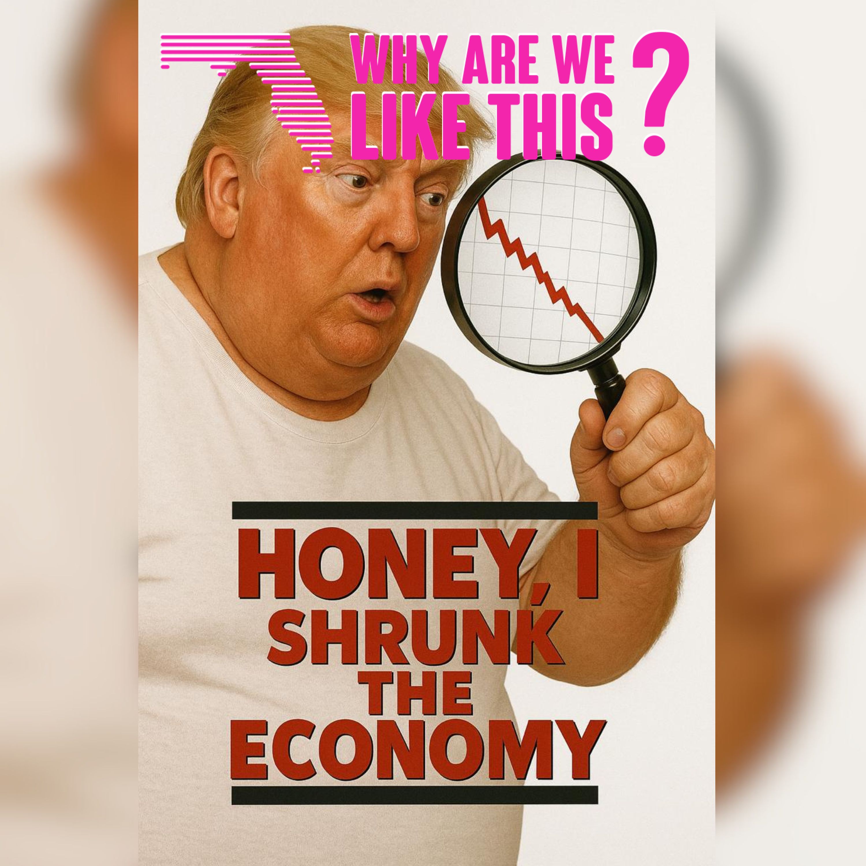 Honey I Shrunk the Economy