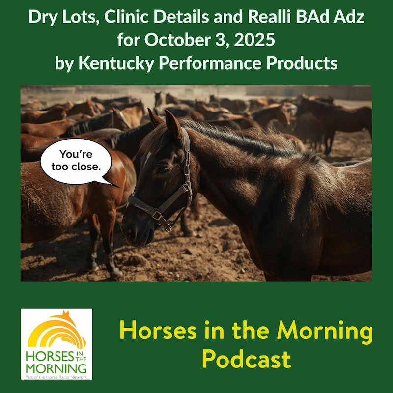 Artwork for podcast HORSES IN THE MORNING