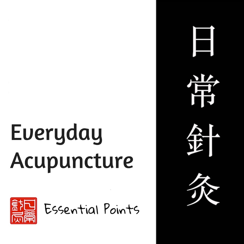 Artwork for podcast Everyday Acupuncture Podcast