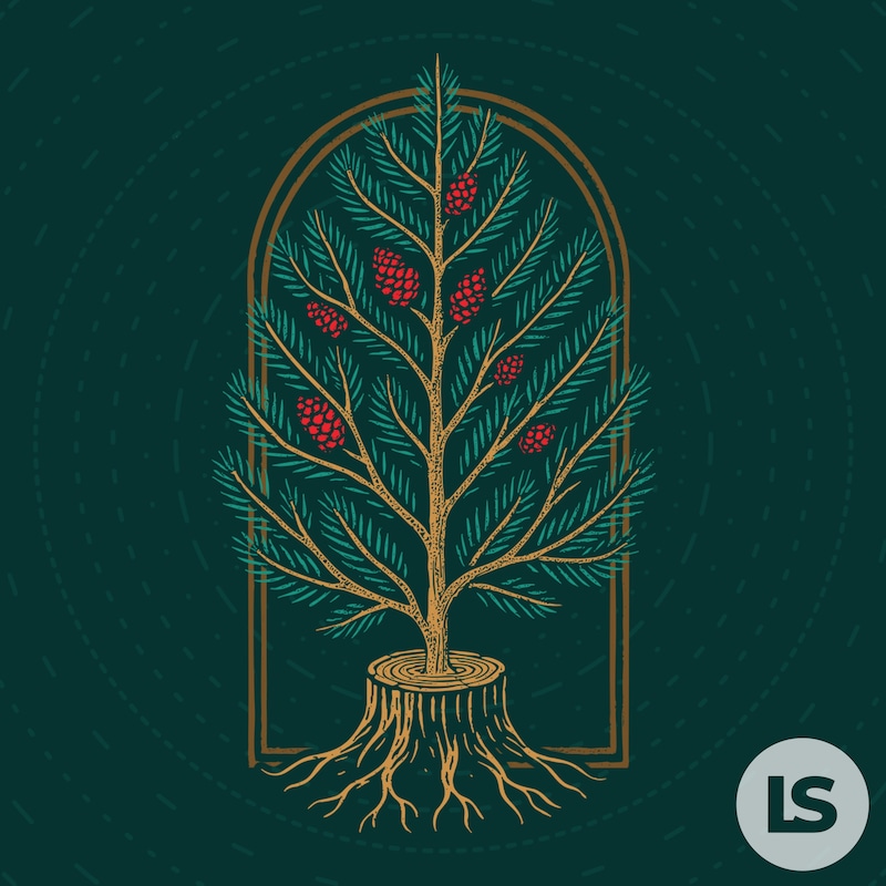 Artwork for podcast Sermons from Living Stones Church