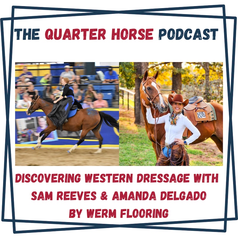 Artwork for podcast Horses in the Morning