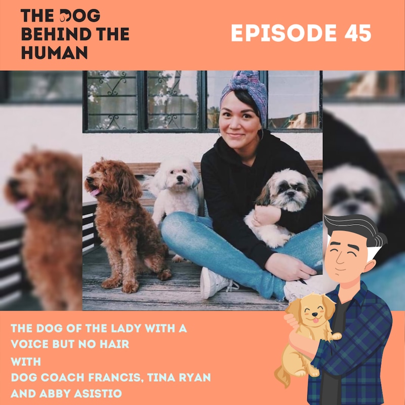 Artwork for podcast The Dog Behind The Human