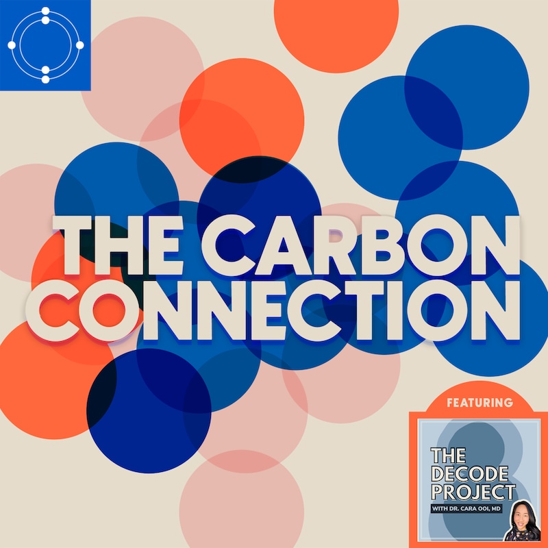 Artwork for podcast The Carbon Connection
